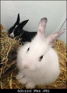 Hallo, wir sind Kuba und L�tje!-foto_070816_14_42_30.jpg
