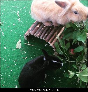 Hallo, wir sind Kuba und L�tje!-foto_260816_13_48_49.jpg