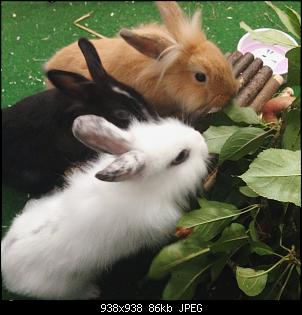Hallo, wir sind Kuba und L�tje!-foto_260816_13_48_14_1.jpg