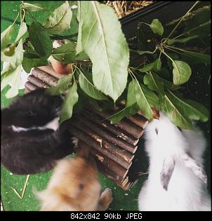 Hallo, wir sind Kuba und L�tje!-foto_260816_13_47_58_2.jpg