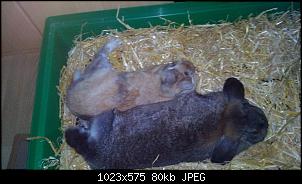 Mayla und Schnuppi-27.8.16-010.jpg