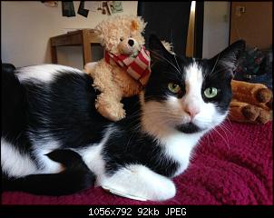 Hallo, wir sind Kuba und L�tje!-foto-26.06.16-19-10-47.jpg