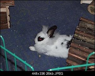 Hallo-2010_0510alles0004.jpg