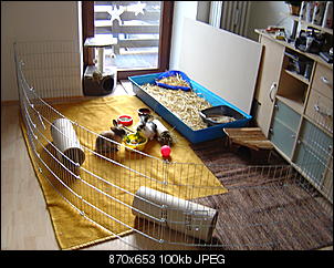 Gizzy und Peppers Bilderthread-dsc00338.jpg