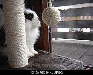 Gizzy und Peppers Bilderthread-dsc00362.jpg