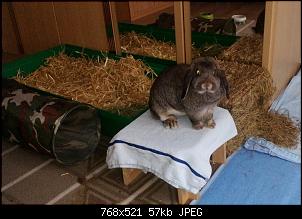 Mayla und Schnuppi-6.10.16-006.jpg