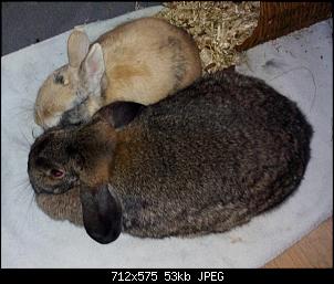 Mayla und Schnuppi-6.10.16-041.jpg