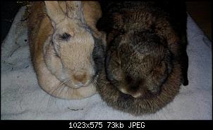 Mayla und Schnuppi-6.10.16-042.jpg