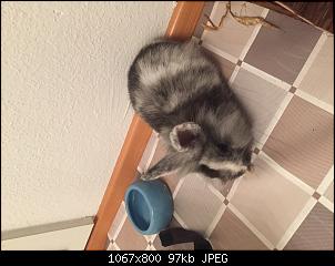 Ein gro�es Hallo und Hilfe zugleich-image.jpg