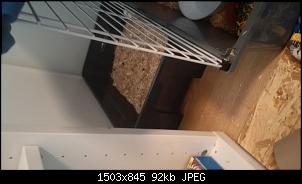 Unser bunter Haufen-img_20161029_165907.jpg