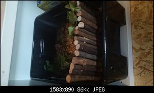 Unser bunter Haufen-img_20161029_165902.jpg