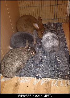 So dann will ich jetzt auch mal :-)-chicco-lucky-rocky-amy.jpg