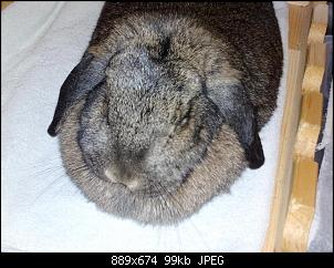 Mayla und Schnuppi-28.1.17-004.jpg
