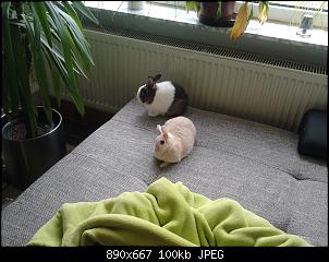 Die drei hessischen Chaoten-2015-04-30-11.47.58.jpg