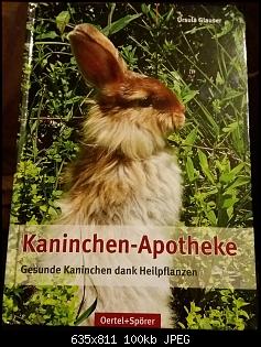 Hier kommen die Langohrschafe-kaninchenapotheke.jpg