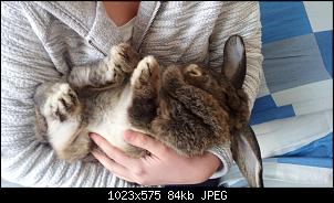 Mayla und Schnuppi-12.2.17-004.jpg
