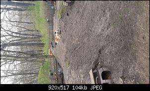 1000 & eine M�hre-20170331_171029.jpg