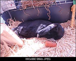 Bubu&Luzi sagen auch mal HALLO-p8311514.jpg
