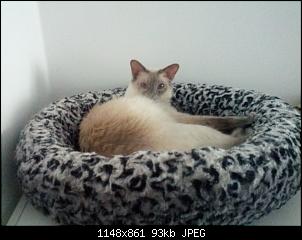 Jasmins Walddorftiere-img_20160710_103835_1.jpg