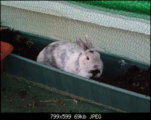 Wir stellen uns auch vor!-dscf2264-001.jpg