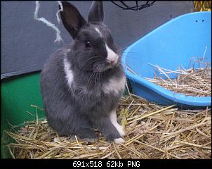 Die Zwillinge und ihre Kaninchen :)-baby-snoopy-sitzt.jpg