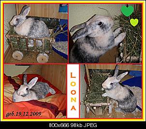 Loona und Casper winken in die Runde-loona.jpg