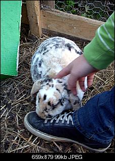 Ich & meine Tiere stellen sich vor!:) (Achtung: Bilder!)-lalalalalal-015.jpg