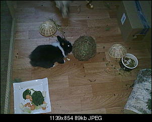 Fynni kriegt 'ne Freundin-16012011506.jpg