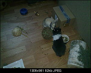 Fynni kriegt 'ne Freundin-16012011514.jpg