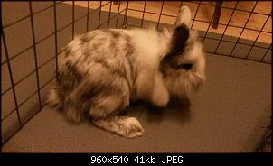 Fitschi's Puschelteam-23032580_10210679980657633_4584821023453483310_n.jpg