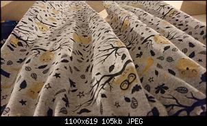Olgas neues Kapitel-img-20180120-wa0026.jpg
