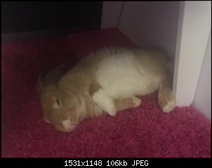 Wir stellen uns auch mal vor; FINDIK unser DW-img_8249.jpg