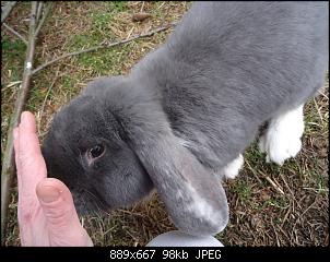 Die Murgelkinder-albert2.jpg