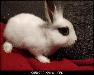 Vorstellung von Penelope & Cloud-img_20180117_201039.jpg