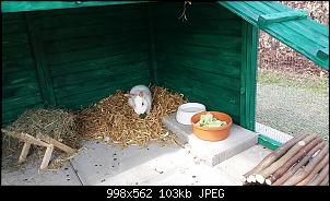 Fritzi und Franzi sind da!-20180404_140843.jpg