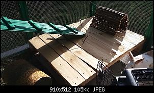 Fritzi und Franzi sind da!-20180413_083544.jpg