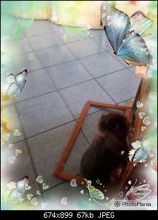 Meine Kaninchen und ich-photomania_1524579392058.jpg