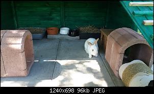 Fritzi und Franzi sind da!-20180428_143208.jpg