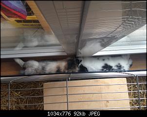 Hallo :)-2015-03-01-11.45.12.jpg