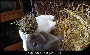 Ein Neuanfang mit Olaf & Lotte-20181220_134527.jpg