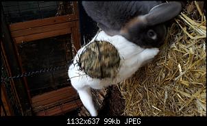 Ein Neuanfang mit Olaf & Lotte-20181220_134545.jpg