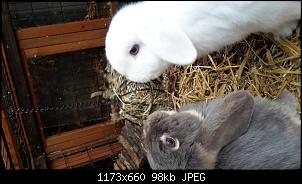 Ein Neuanfang mit Olaf & Lotte-20181220_134625.jpg