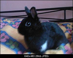 M�dchen-WG-foto0013.jpg
