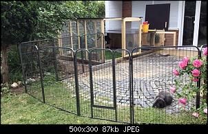 S�ckchen und Felix-696ce359-1382-478e-8841-f2e849a9e561.jpeg