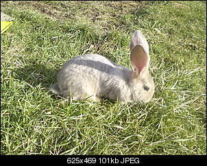 Ein kleines M�rchen....-dsc00608.jpg