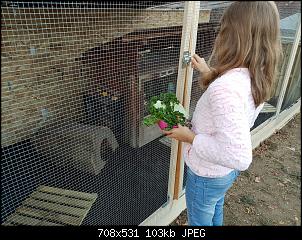 Guten Morgen-20181023_181150-1008x756.jpg