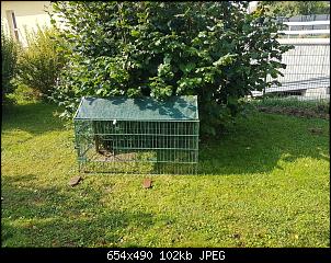 Guten Morgen-20190830_104148-1008x756.jpg