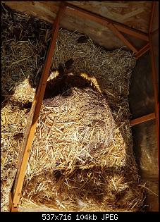 Guten Morgen-20190830_114037-756x1008.jpg
