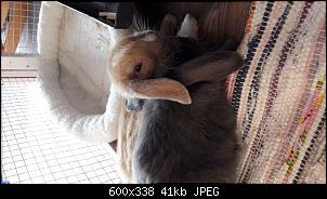 Maja und Moritz-kuschel-1.jpg