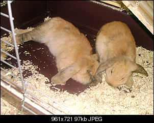 Knuddel & Betty-03300007.jpg